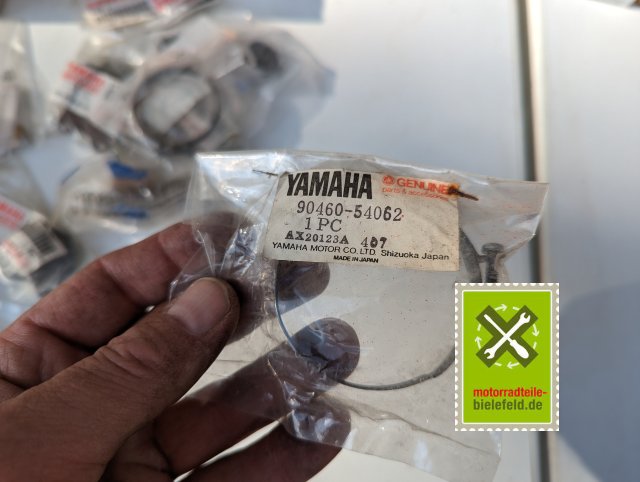 PXL_20240528_155942888